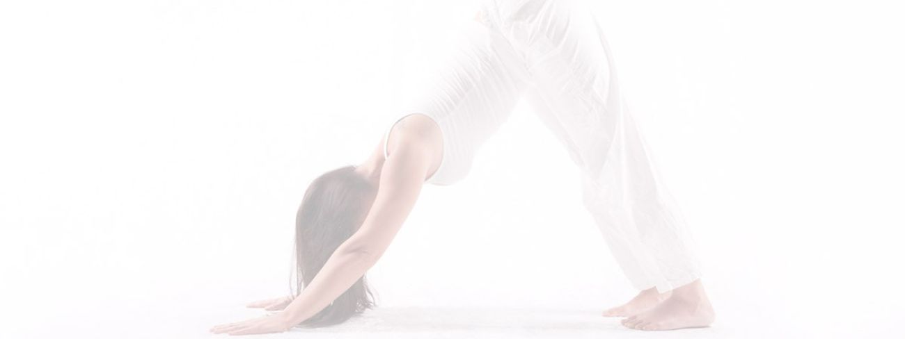 Yoga-Stile im Yogaloft Vienna