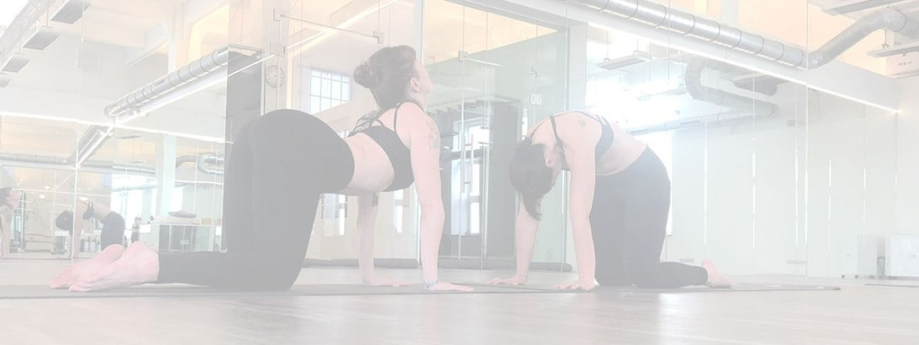 Yoga Basics im Yogaloft Vienna