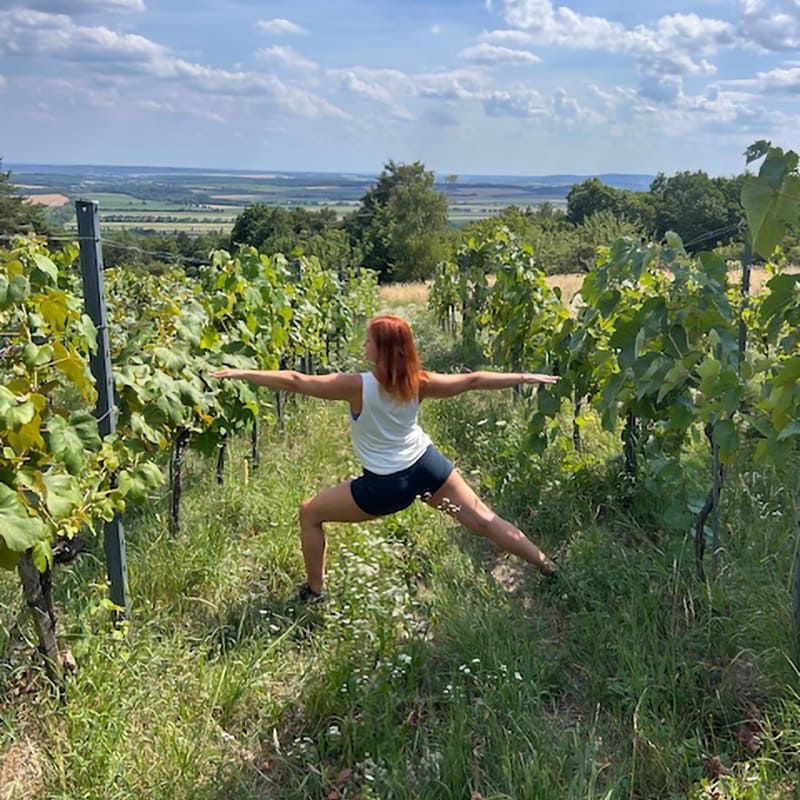 Yoga mit Vera in den Weinbergen